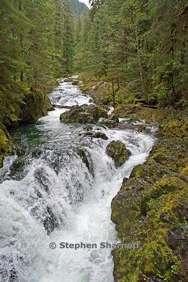 stream opal creek 1 graphic